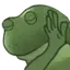 echNO echNO