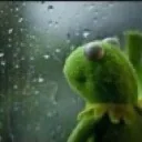 kermit_sad