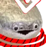 fimstb fimstb