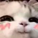 cn_meongaingung