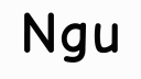 ngu