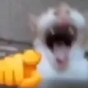 laughingcar