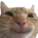 8007swaghappy Discord emoji