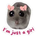 cn_hamster