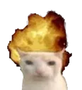 explodecat