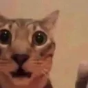 Huh