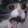 Cry