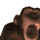 1510monke