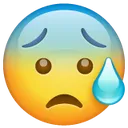 anxiousfacewithsweat_1f630