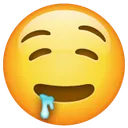 droolingface_1f924