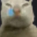 pepasocry pepasocry