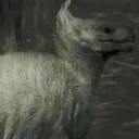 BabySeikret BabySeikret