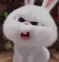 HartHuh