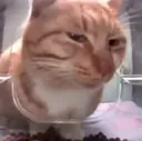 SideEye