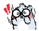 cn_toto
