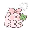 cn_rabbit