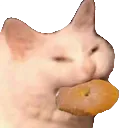 catbagel
