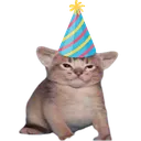 HurgieParty