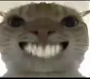 HeHe