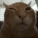 D7_buh Discord emoji