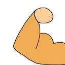 flexR