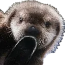 TofiOops