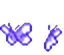 butterflies