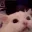 catrage