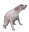 whatthedogdoing