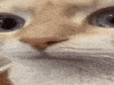 uuh Discord emoji