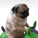 DOUGTHEPUG