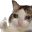 crythumbsup