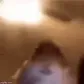 HamsterLookingSussy