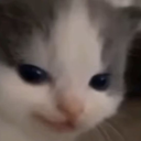1865cesmug2 Discord emoji