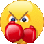 XL_Boxer