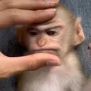 angryias