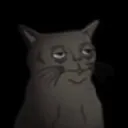 PridestormsCat
