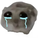 SadgeHamster