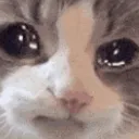 sadz