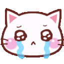 tears_cat