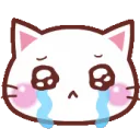 tears_cat