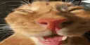 auh
