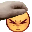 VV_PetPat