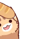 nekobreadrun