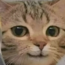 catsabdekhrhahu custom emote | mr LEGEND