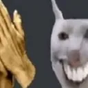 cat_HEHEHEHEHEHEHE cat_HEHEHEHEHEHEHE