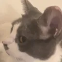 side_eye
