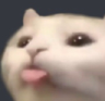 9682cattongue Discord emoji