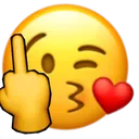 fu_wink