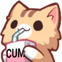 ff91e278684342c9a05faed00eb5ad43